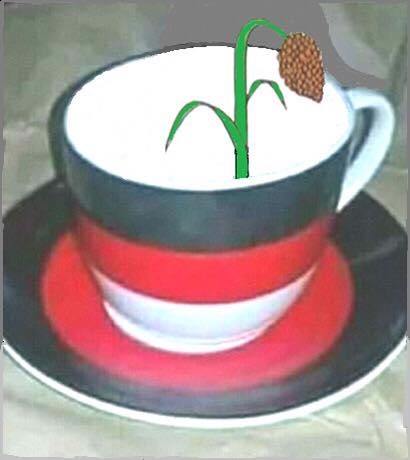 TASSA ADOLAY.jpg